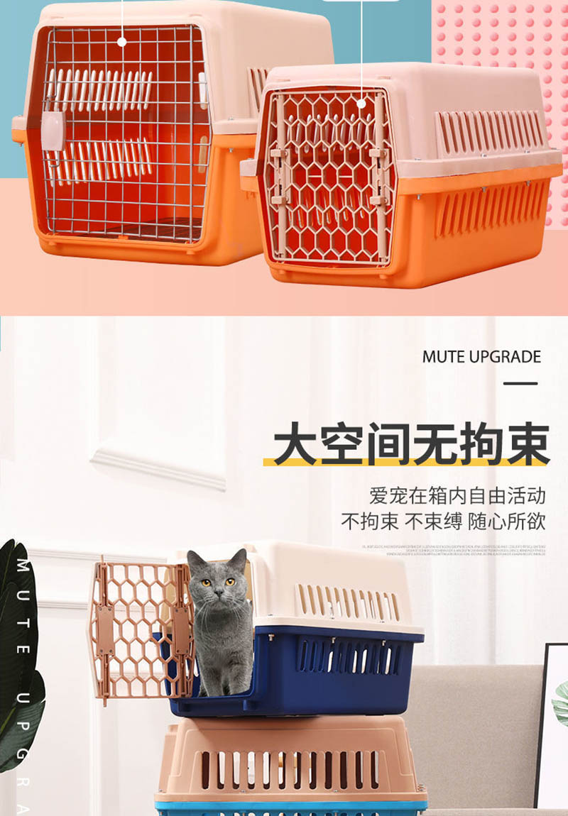 flight case for cat 10